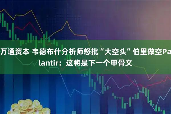 万通资本 韦德布什分析师怒批“大空头”伯里做空Palantir:这将是下一个甲骨文