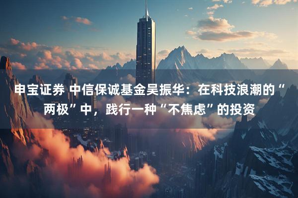 申宝证券 中信保诚基金吴振华：在科技浪潮的“两极”中，践行一种“不焦虑”的投资