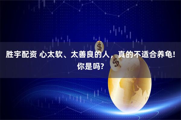 胜宇配资 心太软、太善良的人，真的不适合养龟!你是吗?
