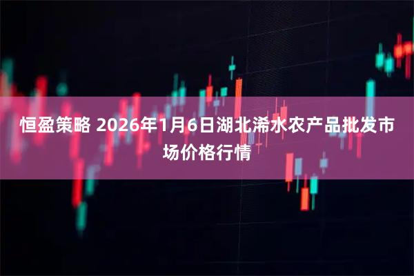 恒盈策略 2026年1月6日湖北浠水农产品批发市场价格行情