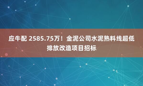 应牛配 2585.75万！金泥公司水泥熟料线超低排放改造项目招标