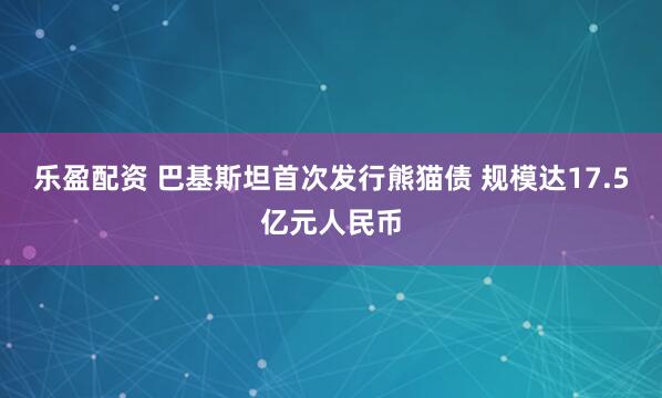 乐盈配资 巴基斯坦首次发行熊猫债 规模达17.5亿元人民币