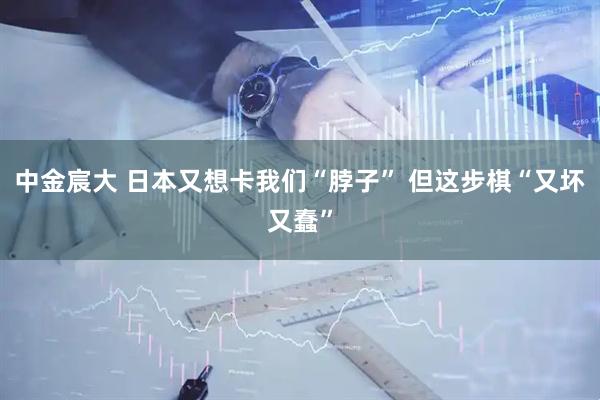 中金宸大 日本又想卡我们“脖子” 但这步棋“又坏又蠢”